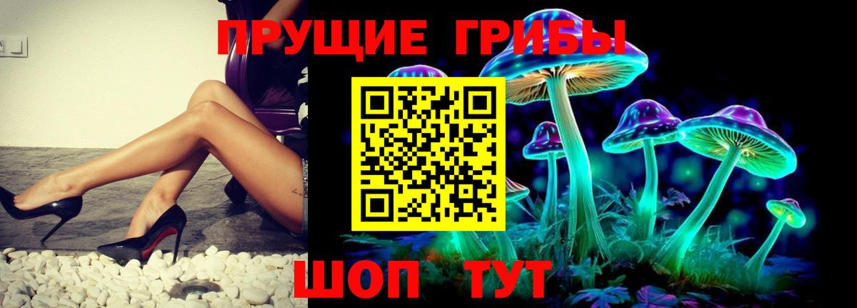 Псилоцибиновые грибы Psilocybe Вязники